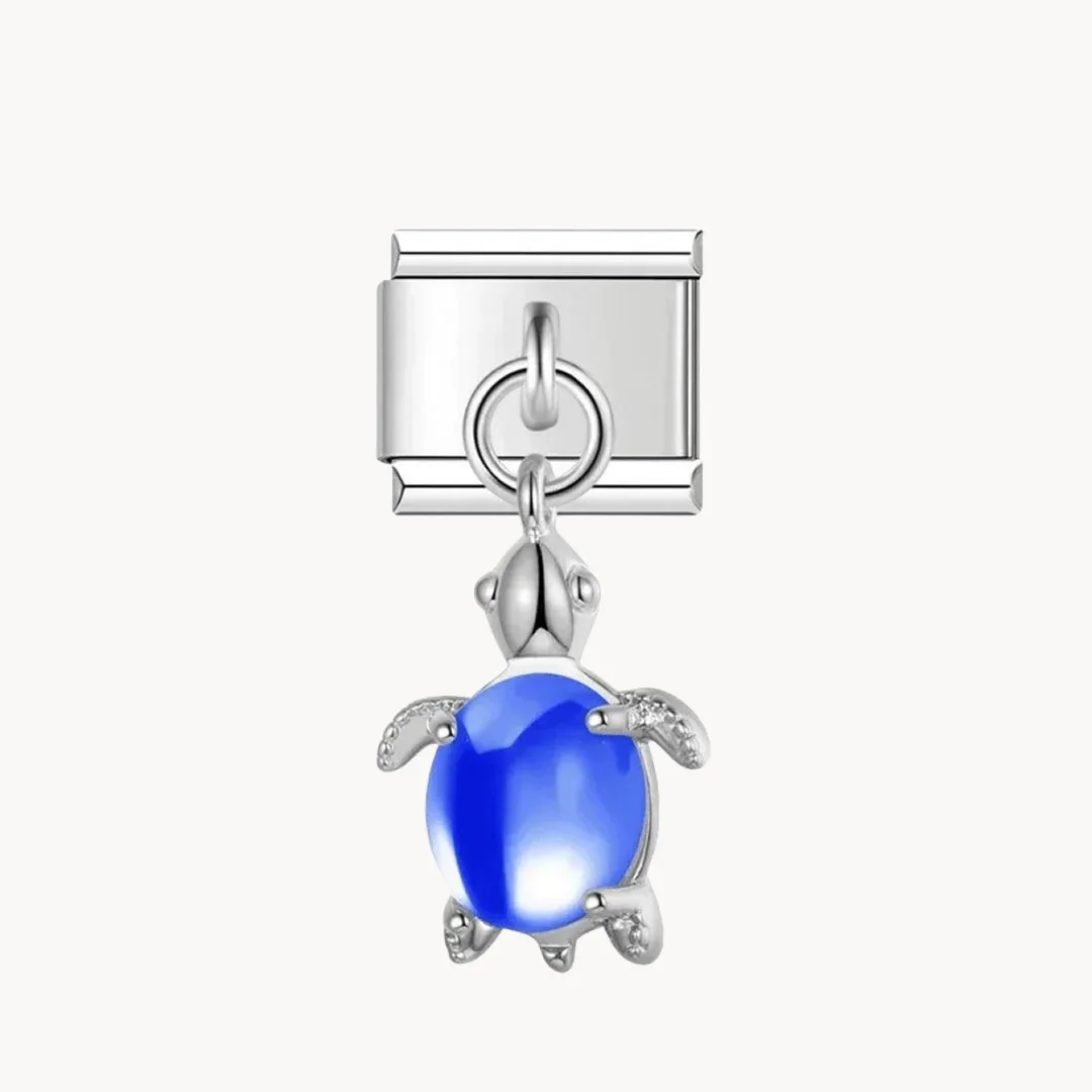 Tortue - Image 4